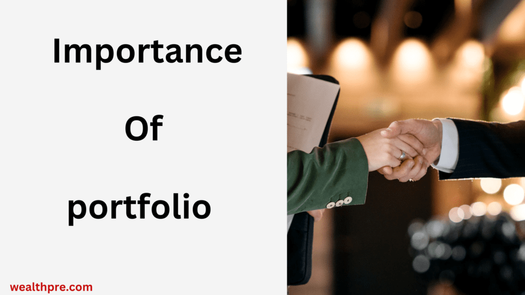 portfolio meaning in hindi